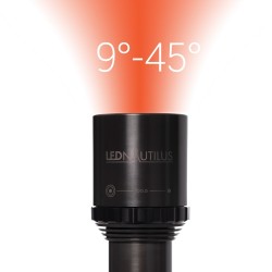 Ammonite Led Nautilus (Głowica)